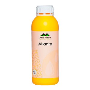 Атланте, 1 л
